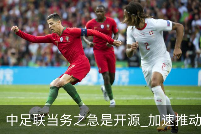中足联当务之急是开源 加速推动中国足球职业化